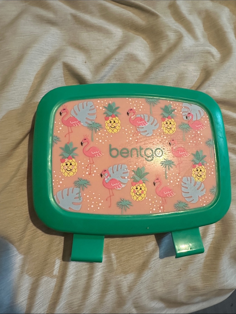 Bentgo Kids Tropical Flamingo Lunchbox Lid - Pink & Teal